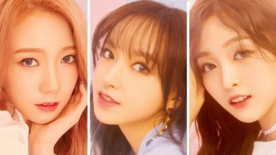 أين أعضاء WJSN الصينيون الآن؟ تعرّف على أنشطتهم هنا!