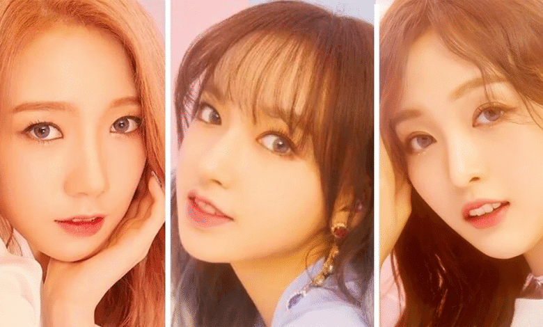 أين أعضاء WJSN الصينيون الآن؟ تعرّف على أنشطتهم هنا!