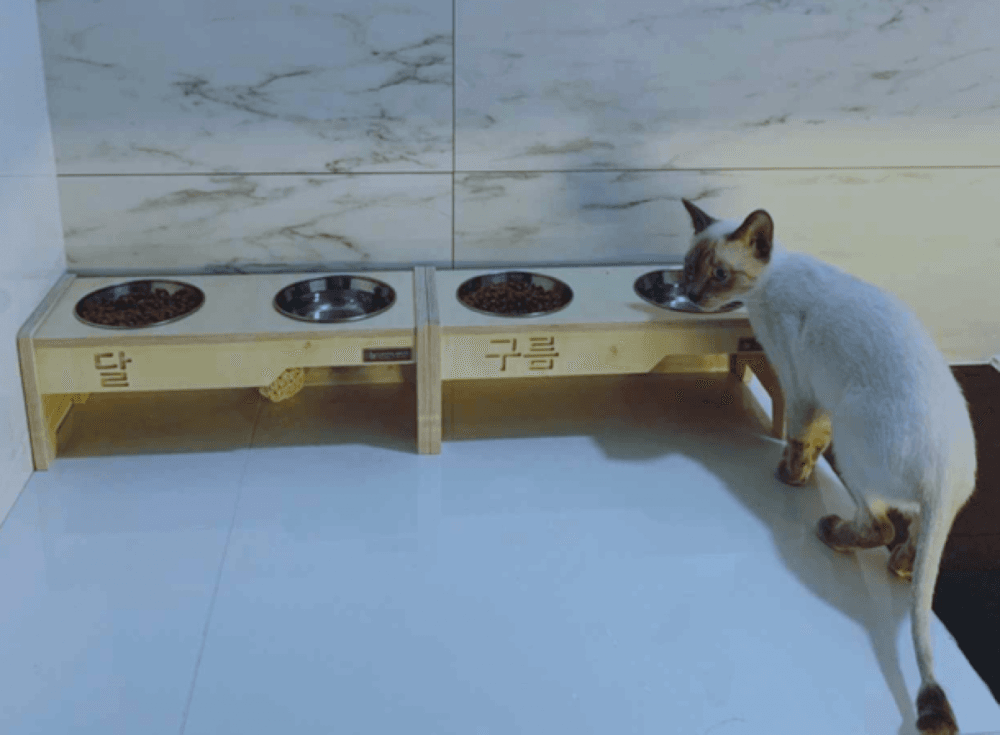 والدة الممثلة الراحلة كيم ساي رون تؤكد مزاعم علاقتها مع كيم سو هيون وهي قاصر والدة الممثلة الراحلة كيم ساي رون تؤكد مزاعم علاقتها مع كيم سو هيون وهي قاصر