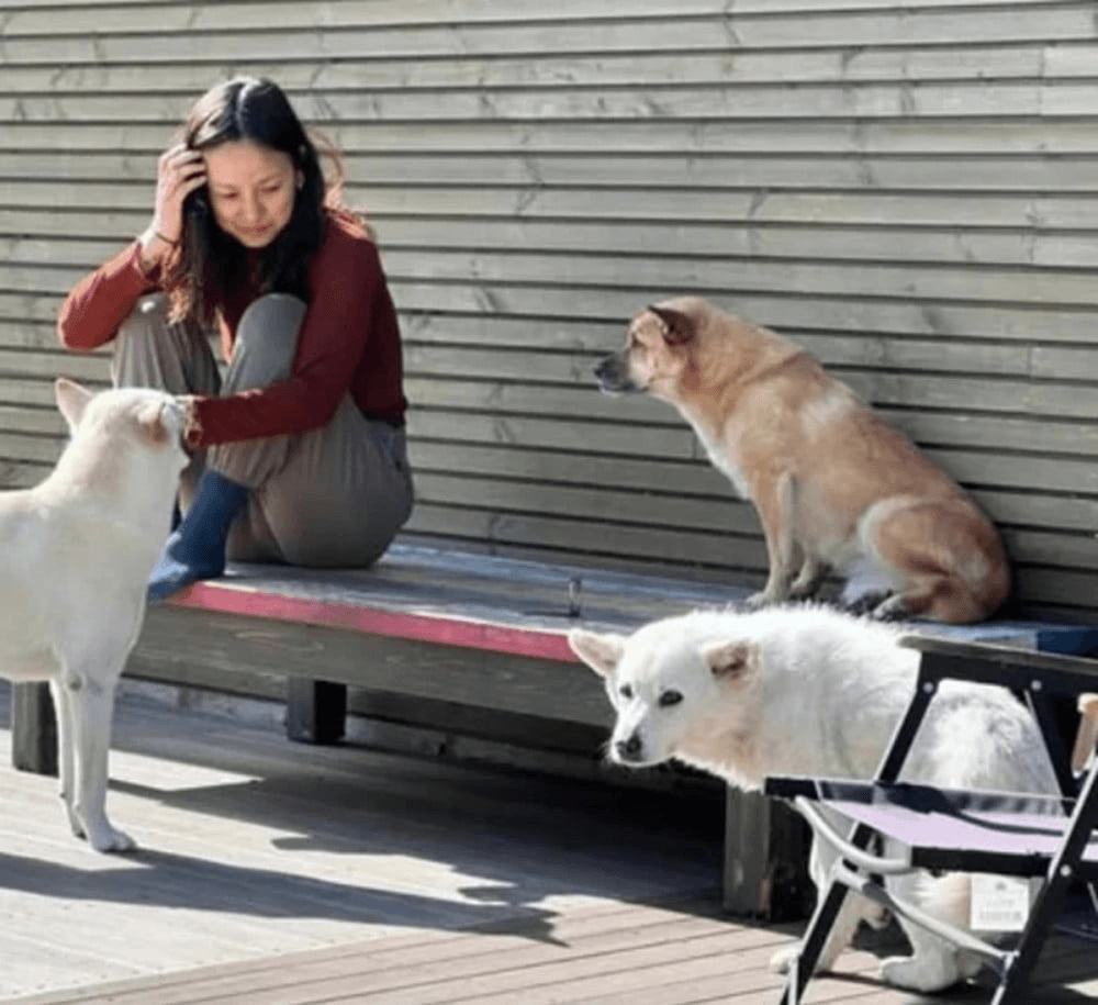 تواصل لي هيوري دعمها لحقوق الحيوان من خلال تبرع قيّم جديد