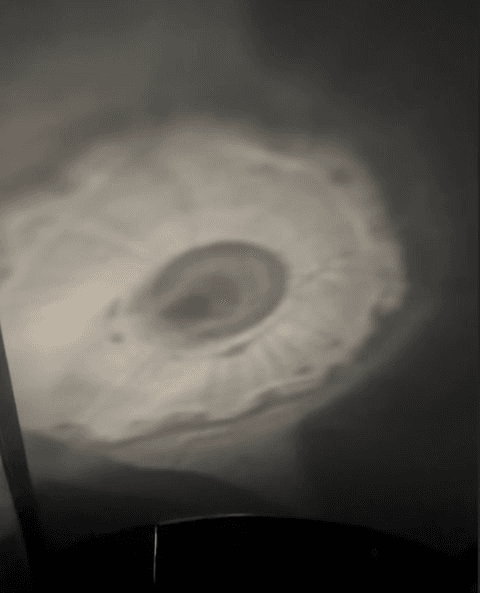 [مستخدمو الانترنت] هل نينغنينغ و جيزيل جزء من المتنورين؟