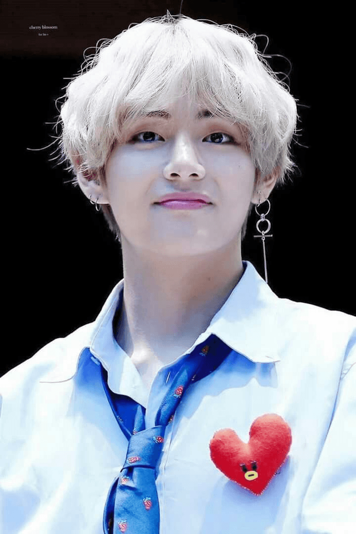 3. كيم تاي هيونغ أو في عضو بي تي اس (Kim Tae Hyung – V – BTS)