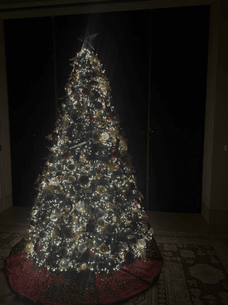 تشارك آني عضوة PROJECT ALLDAY صورة لشجرة عيد الميلاد في منزل عائلة تشيبول