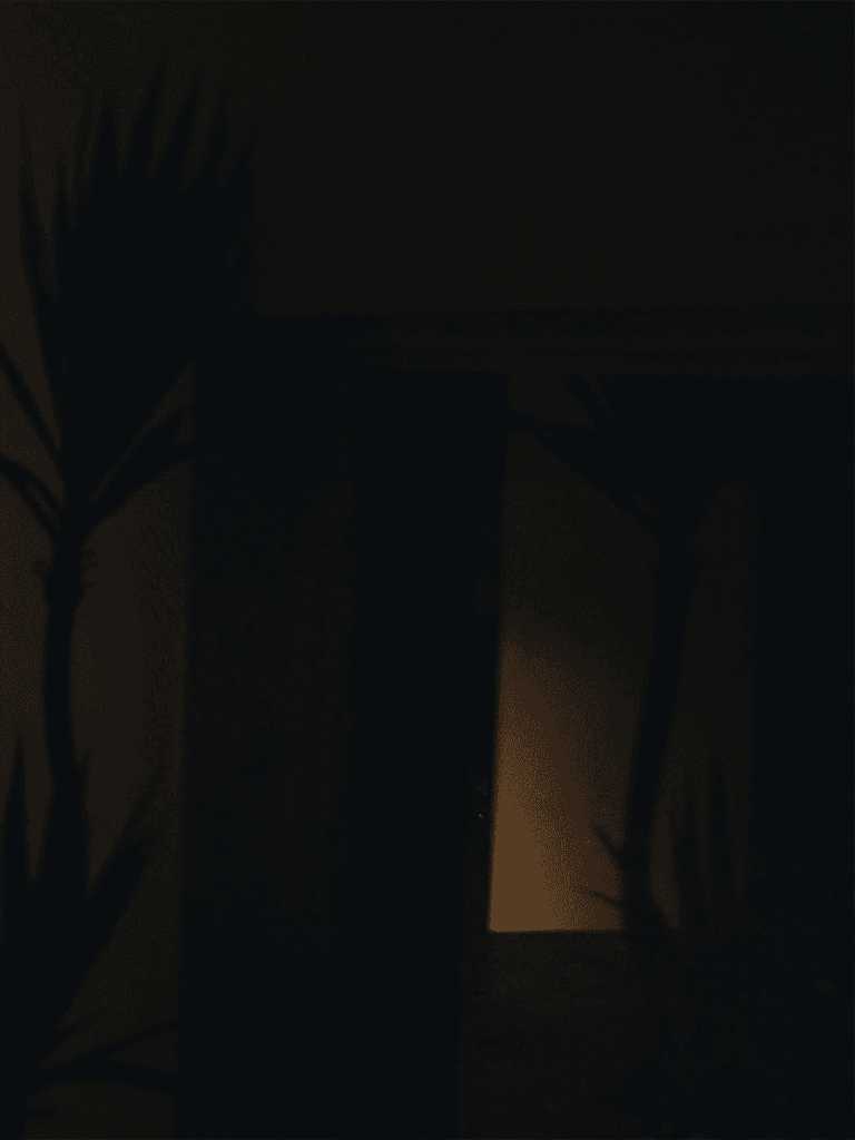 شاهد: بارك جينيونغ عضو فرقة GOT7، يكشف عن مقطع فيديو تشويقي لأغنيته المنفردة الجديدة "Christmas Fever"