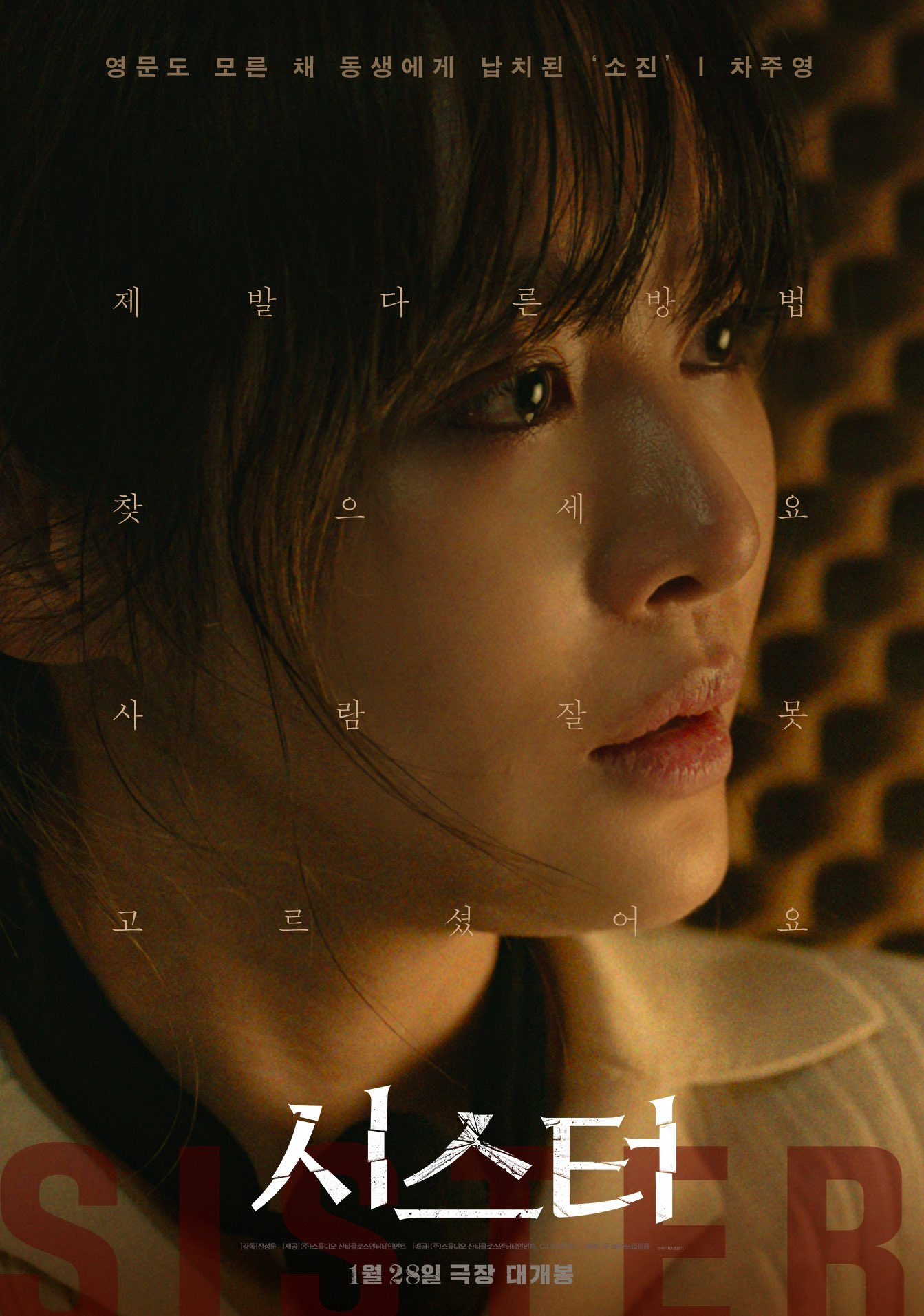 جونغ زي سو و لي سو هيوك و تشا جو يونغ يُظهرون عزيمة لا تلين في ملصقات فيلم الإثارة الجديد "الأخت - Sister"