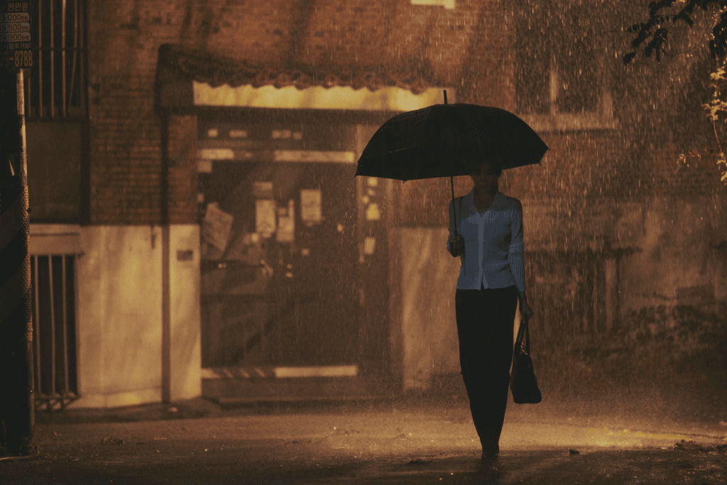 في فيلم "الأخت - Sister" الجديد، تُختطف تشا جو يونغ في مؤامرة فدية دبرتها أختها غير الشقيقة التي لم تكن تعلم بوجودها في فيلم "الأخت - Sister" الجديد، تُختطف تشا جو يونغ في مؤامرة فدية دبرتها أختها غير الشقيقة التي لم تكن تعلم بوجودها