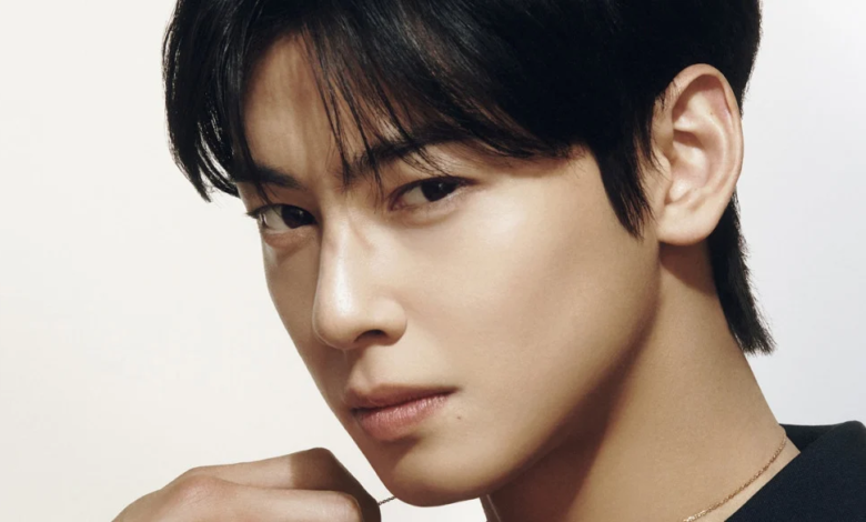 يناقش الخبراء ما إذا كان تشا اون وو سيواجه اتهامات جنائية بالتهرب الضريبي