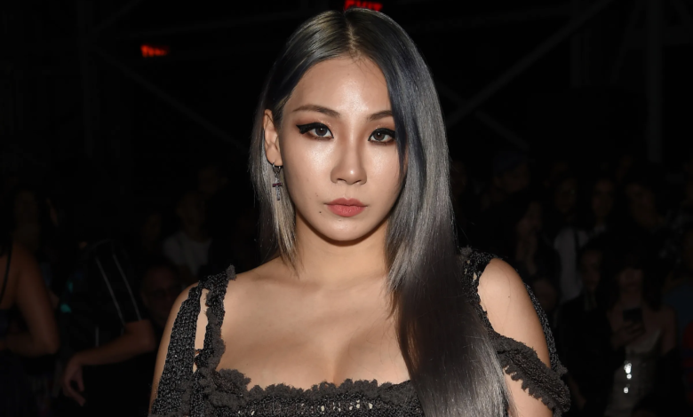 أُحيلت سي إل، عضوة فرقة 2NE1، إلى النيابة العامة بتهمة إدارة وكالة ترفيهية غير مسجلة باسم "Very Cherry"