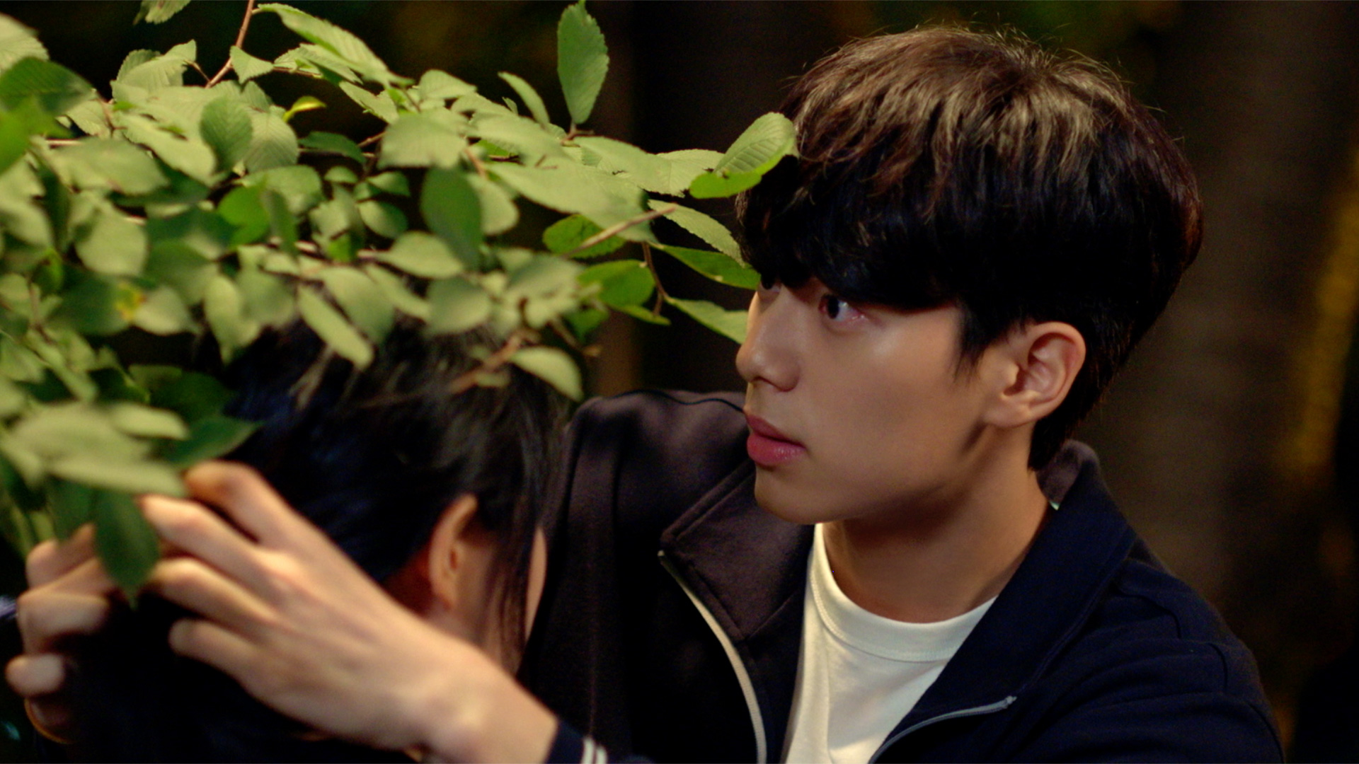 يجتمع كيم ساي رون و لي تشاي مين مجددًا كزملاء في الصف عالقين بين الصداقة والحب الأول في فيلم رومانسي شبابي جديد