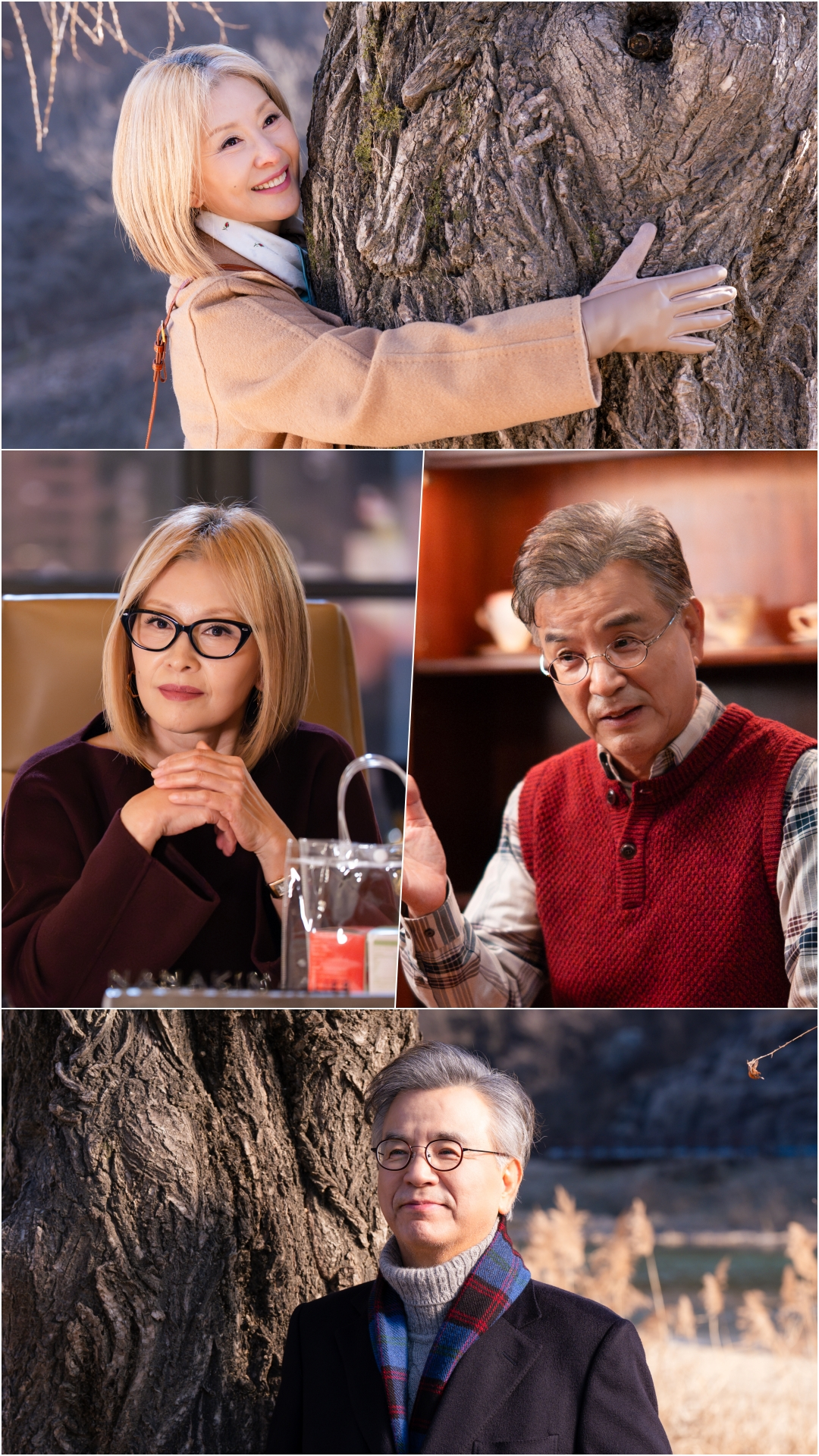 لي مي سوك و كانغ سوك وو يستذكران لم شملهما بعد 40 عامًا وقصة حبهما الناضجة في مسلسل "في موسمك المشرق - In Your Radiant Season" لي مي سوك و كانغ سوك وو يستذكران لم شملهما بعد 40 عامًا وقصة حبهما الناضجة في مسلسل "في موسمك المشرق - In Your Radiant Season"