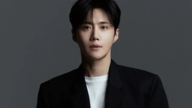 أصدرت وكالة كيم سيون هو بياناً توضح فيه أن الشركة مملوكة لشخص واحد وتنفي مزاعم التهرب الضريبي