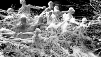 يكشف فيلم "مستعمرة - Colony" الجديد من بطولة جون جي هيون و كو كيو هوان عن خطط عرضه الأول من خلال ملصق دعائي مثير للاهتمام