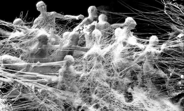 يكشف فيلم "مستعمرة - Colony" الجديد من بطولة جون جي هيون و كو كيو هوان عن خطط عرضه الأول من خلال ملصق دعائي مثير للاهتمام